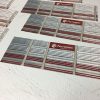 Sticker Set - Ferromex - Image 3